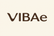 VIBAe 自然简约风格 logo